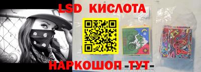 амф Сланцы