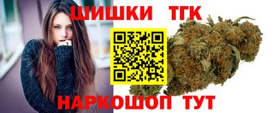 амф Сланцы